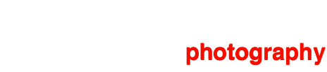 Mobile Logo